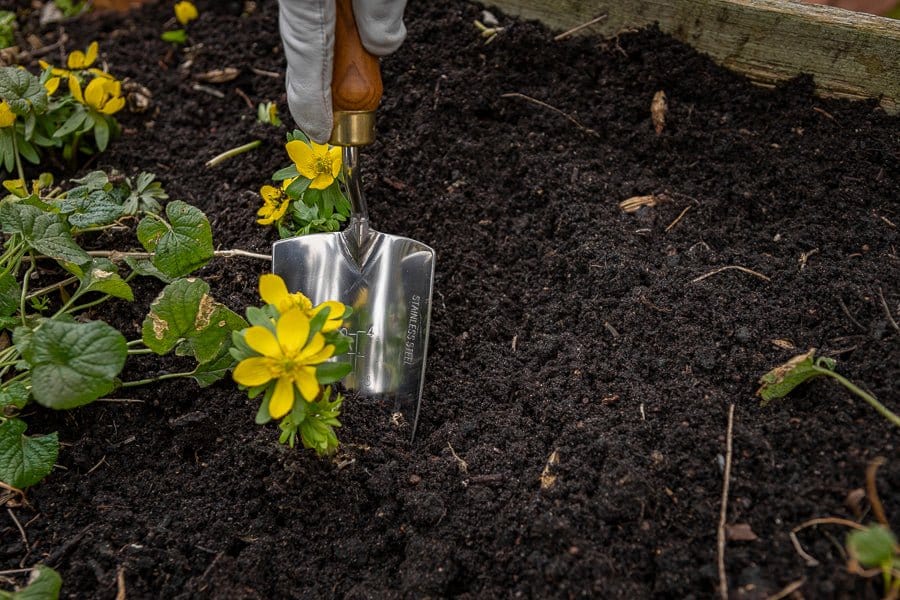 ASK' Gravskötare - Blomsterverden